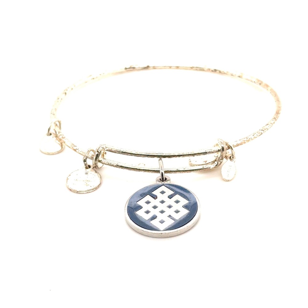Alex and Ani Endless Knot Bangle Bracelet Blue Gold Charm Rafaelian Silver Finis